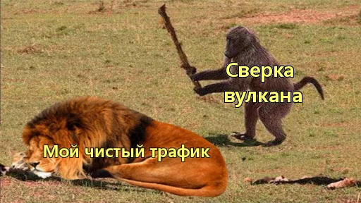 Стикер CPA - 11