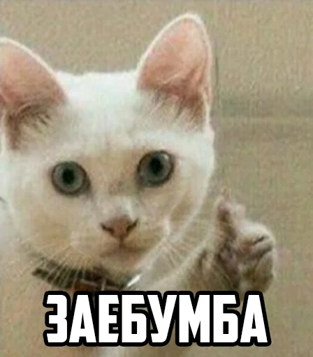 Стикер CPA - 10