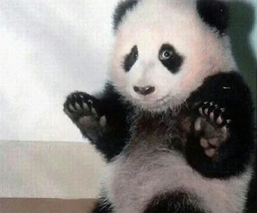 Стикер CPA - 8