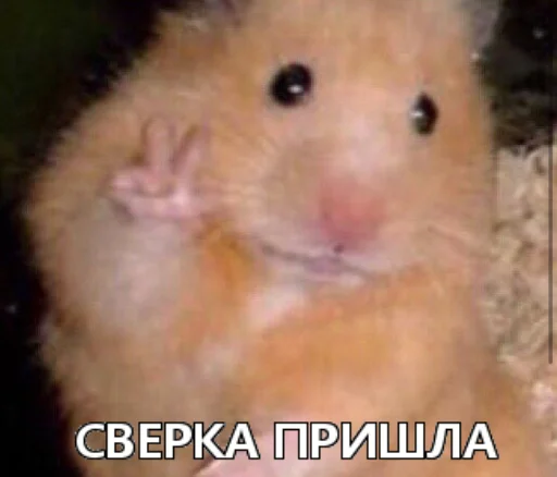 Стикер CPA - 5