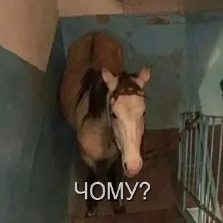 Стикер KEKW - 6