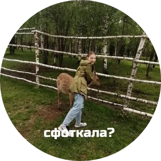 Sticker cfc30d59_35c6_445a_8b91_ede1450b68d4_by_sticat_bot - 1