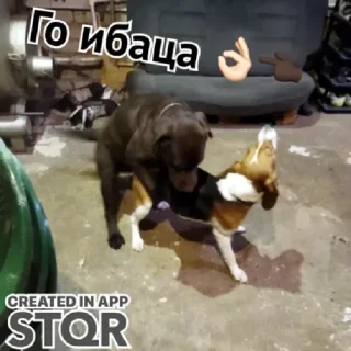 Стикер Далбаебы by @stqrapp - 11