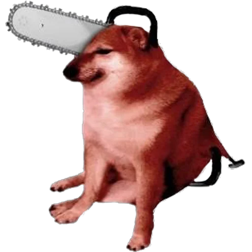 ввврррббрррррррр - 