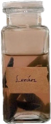 text food storage containers cosmetics