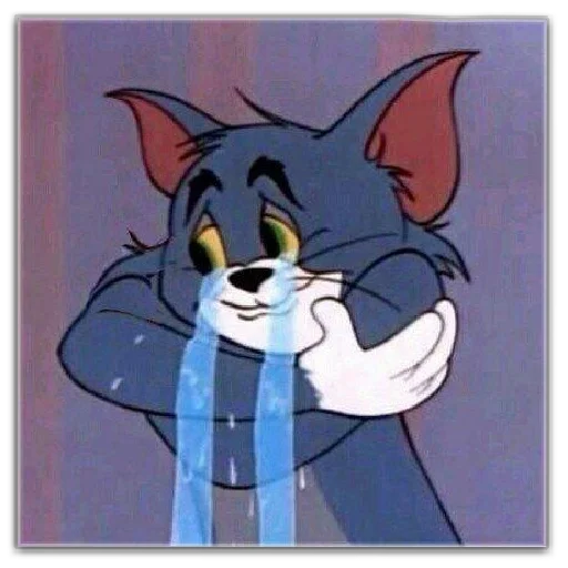 cat cartoon illustration