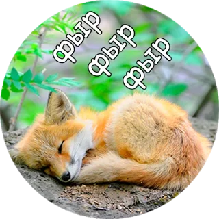 Стикер Лисички @stiker_packk - 7