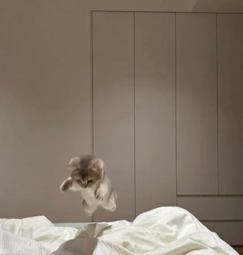 Sticker ♡˚⁎⁺˳✧༚♡˚⁎ - 11