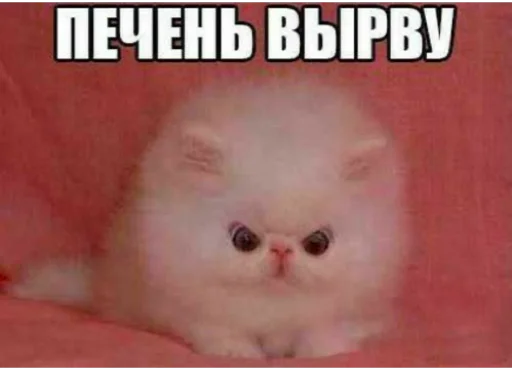 Sticker ♡˚⁎⁺˳✧༚♡˚⁎ - 3