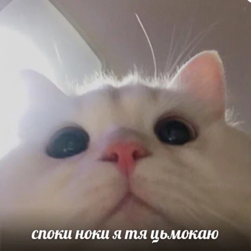 Sticker ♡˚⁎⁺˳✧༚♡˚⁎ - 2