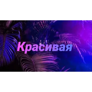 Стикер Чатик; @chatic6 - 8