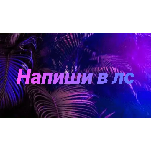 Чатик; @chatic6 - 