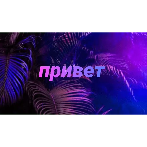 Стикер chatic6 - 1