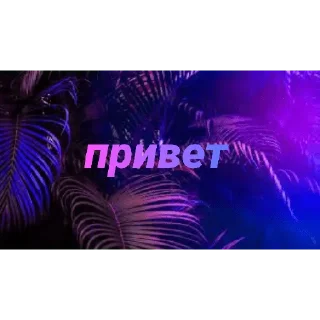 Стикер Чатик; @chatic6 - 5