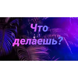 Стикер Чатик; @chatic6 - 4