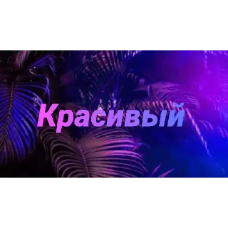 Стикер Чатик; @chatic6 - 10