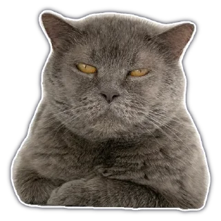 Sticker @chatkasha - 4