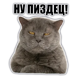 Sticker @chatkasha - 1