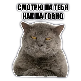 Sticker @chatkasha - 2