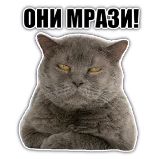 Sticker @chatkasha - 11