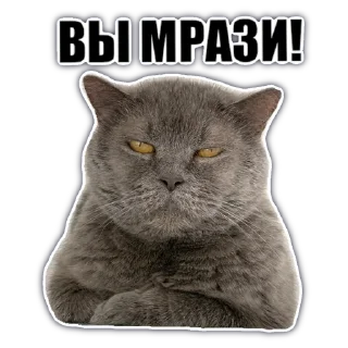 Sticker @chatkasha - 10