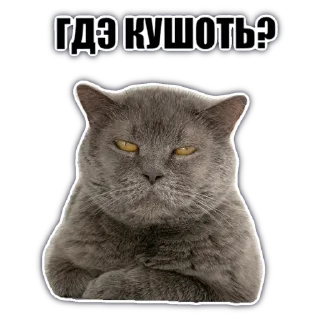 Sticker @chatkasha - 9