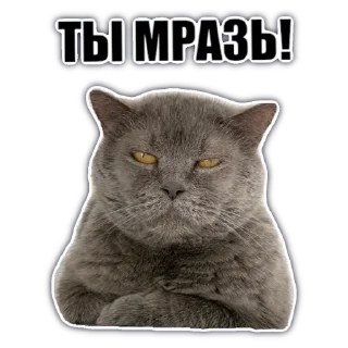 Sticker @chatkasha - 7