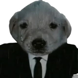 Стикер doggies by @normtipsdog - 4