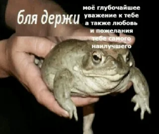 Sticker че🤨 - 6