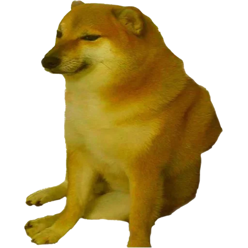 Cheems (@memenace) - animal