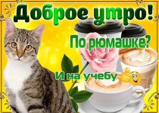 кошка животное кофейная чашка