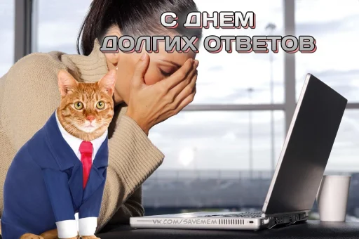 ноутбук Человек комнатный