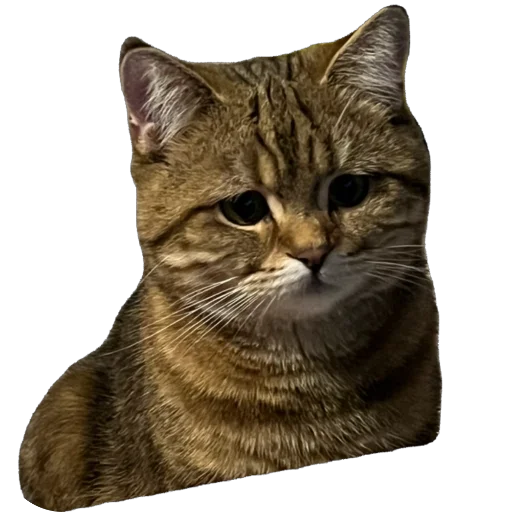 Стикер chelsik4 - 1