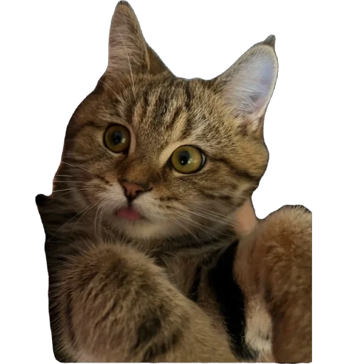 Стикер chelsik4 - 1