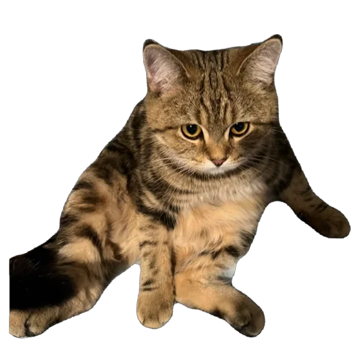 Стикер chelsik4 - 1