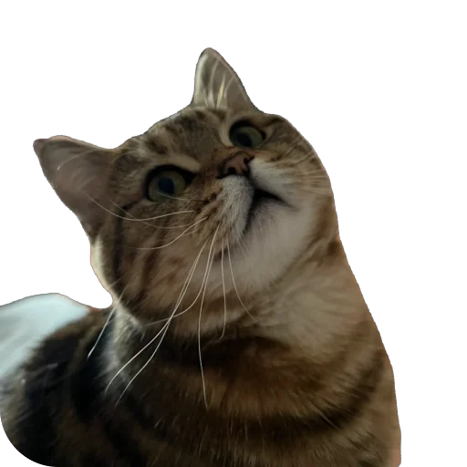 Стикер chelsik4 - 1