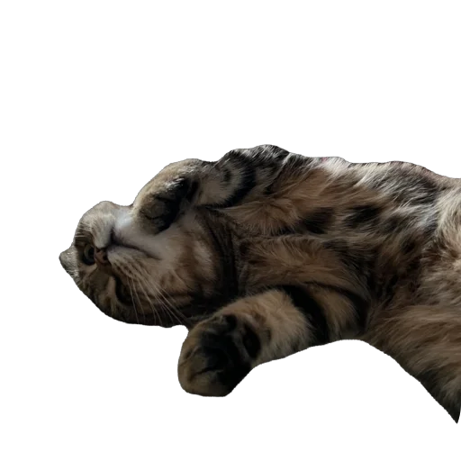 Стикер chelsik4 - 1