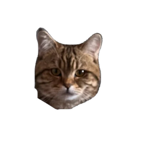 Стикер chelsik4 - 1