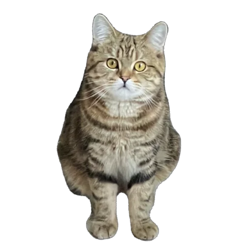 Стикер chelsik4 - 1