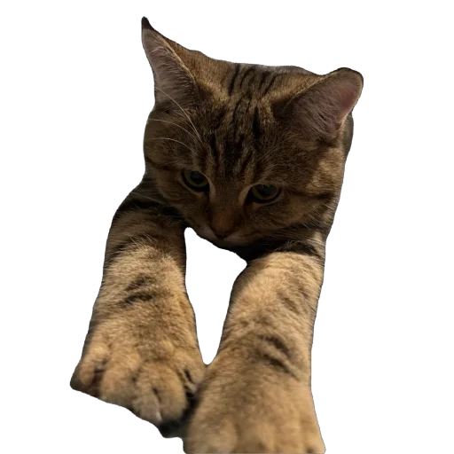 Стикер chelsik4 - 1