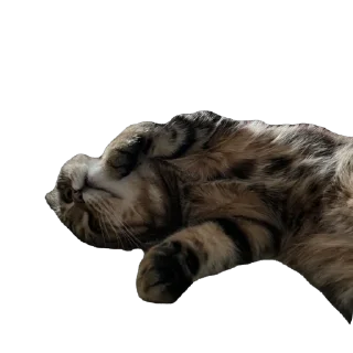 Стикер челсик😼 - 9