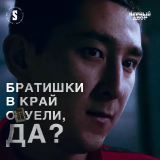 Стикер Черный двор - 5