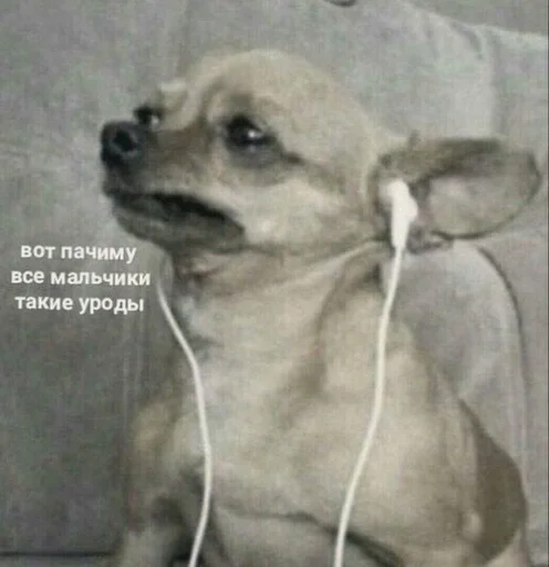 Sticker cherries_ess - 1