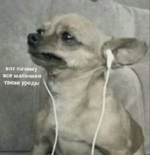 Sticker мЕмЫ от Черри - 10