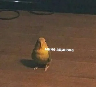 Sticker мЕмЫ от Черри - 9