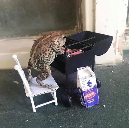 Sticker Жабы Чертиллы - 6