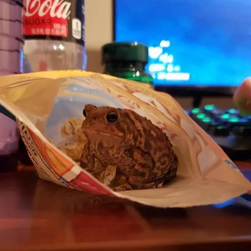 Sticker Жабы Чертиллы - 4