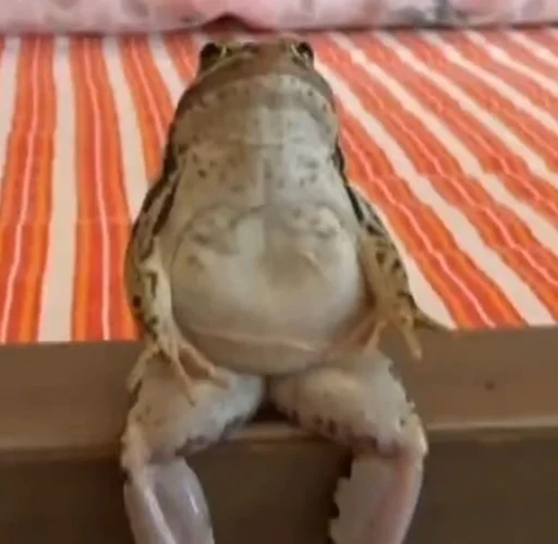 Sticker Жабы Чертиллы - 3