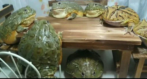 Sticker Жабы Чертиллы - 2