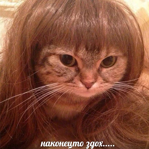 Sticker chervotouchina2 - 1